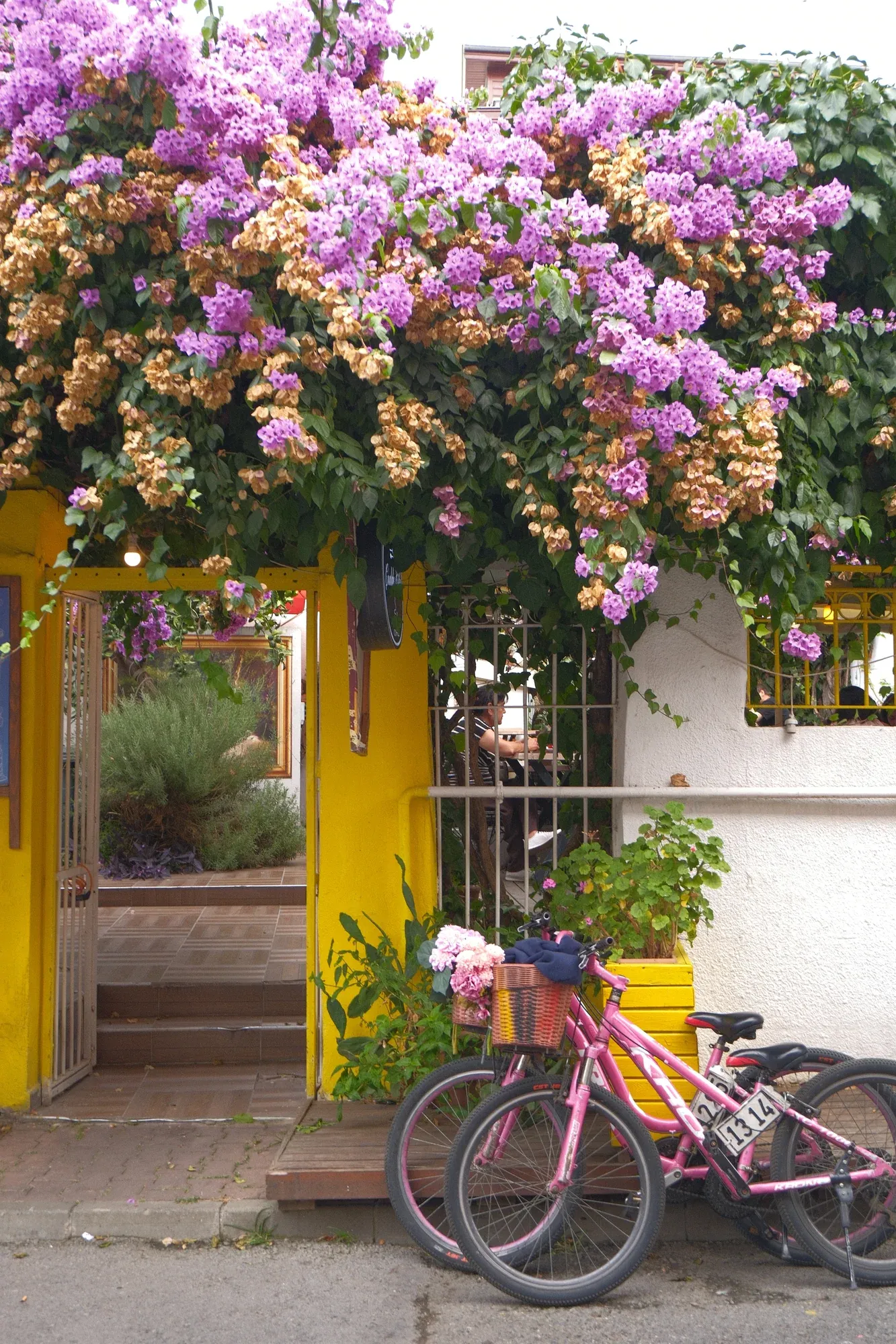 A bicycle outside a flower-covered storefront on Büyükada