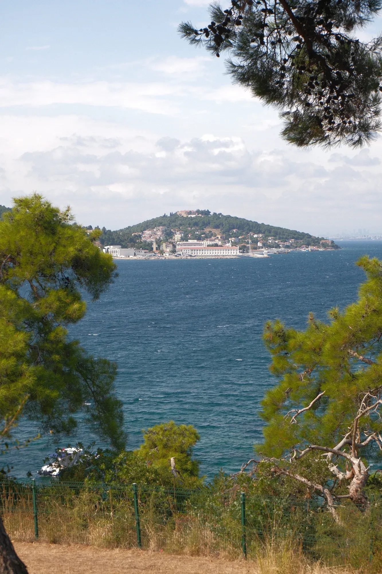 The blue sea and a neighbouring island seen through pine trees on Büyükada
