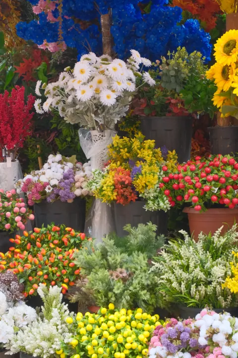 A flower stall overflowing with white daisies, yellow sunflowers and colourful bouquets in buckets.