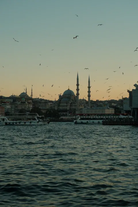 Gulls circle above ferries and the mosque-lined Istanbul waterfront in the evening light.